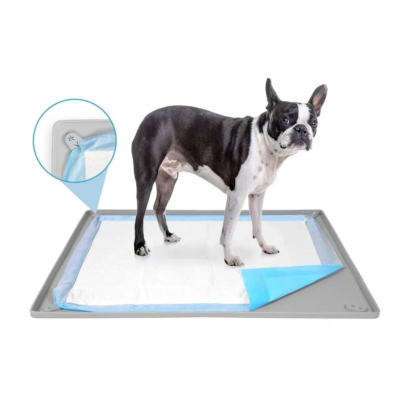 Silicone Pee Pad Holder for Dogs Fits up to 24" X 24" Training Pads Leak-Proof Non-Slip Puppy Pee Pad Holder with Fixed Buttons Portable Easy to Clean