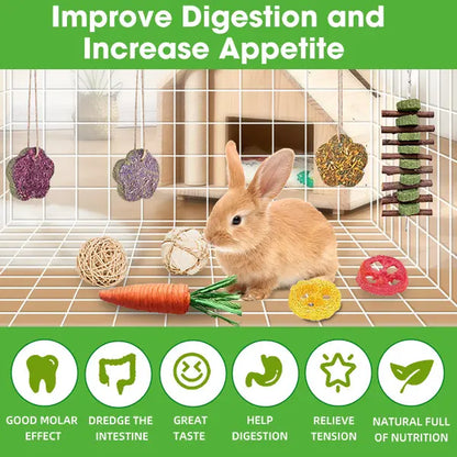 21 Pieces Rabbit Dental Chew Toys – Apple Wood Sticks, Timothy Hay Cakes for Teeth Care – Ideal for Rabbits, Hamsters, Chinchillas, and Gerbils